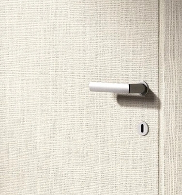 Porte d'intérieur et diverses poignées adaptables à Bastia